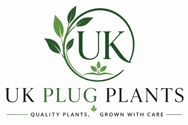 UK PLUG PLANTS LTD