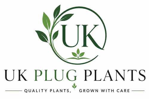 UK PLUG PLANTS LTD