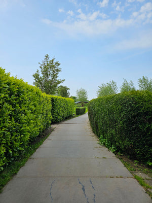 Native Hedging