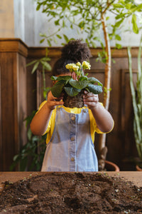Plant Expert
