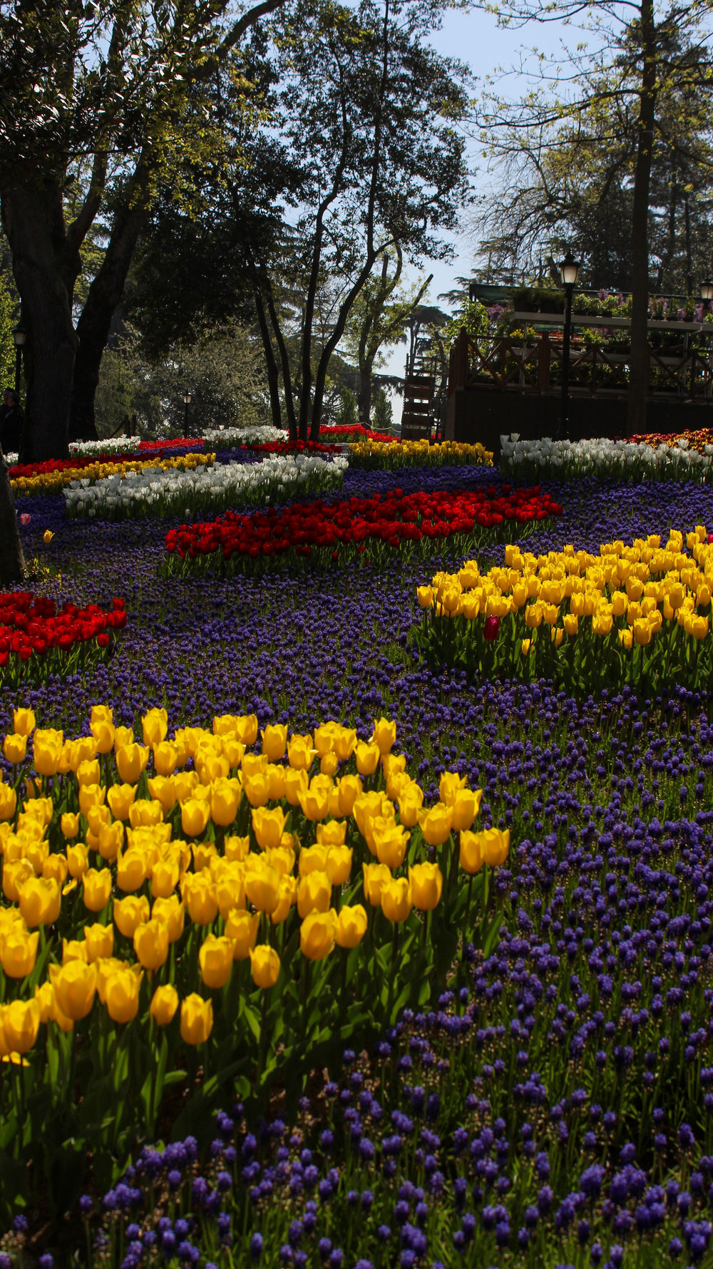 Spring Left