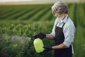 Plant Protection