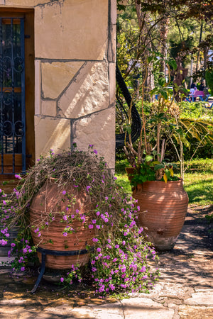 Pots & Containers