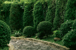 Evergreen Hedging