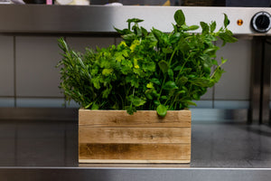 Herbs