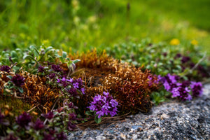 Flowering