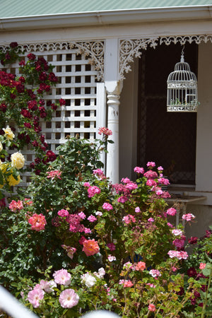 Cottage Garden
