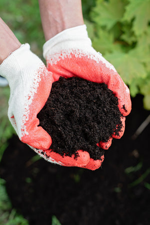 Compost & Growing Media
