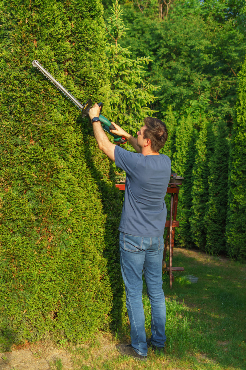 Hedging