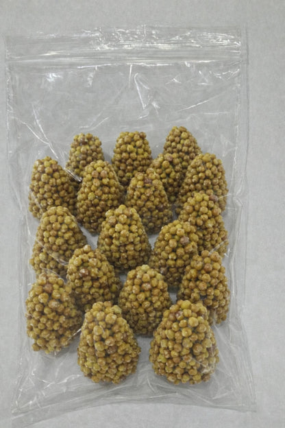 100 Osmocote Slow Release Fertiliser 5-6M Feed Ideal For Tubs & Hanging Baskets