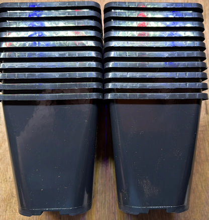 1L Plant Pots - Packs of Black Square Round Pots with Label Slot x20
