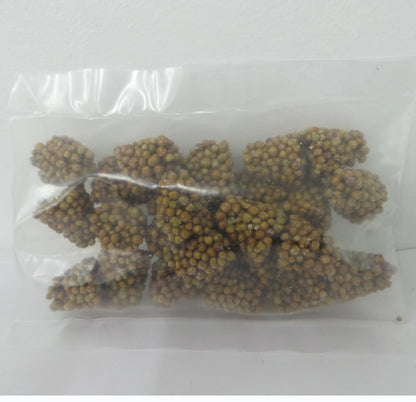 50 Osmocote Slow Release Fertiliser 5-6M Feed Ideal For Tubs & Hanging Baskets