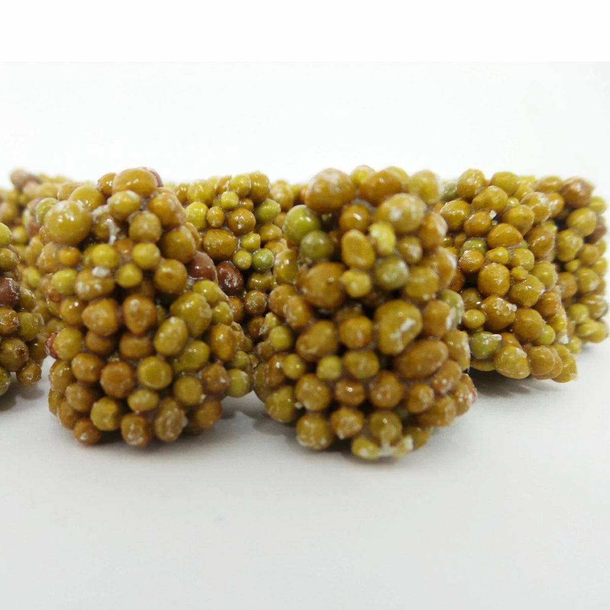 50 Osmocote Slow Release Fertiliser 5-6M Feed Ideal For Tubs & Hanging Baskets