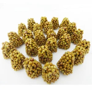 50 Osmocote Slow Release Fertiliser 5-6M Feed Ideal For Tubs & Hanging Baskets