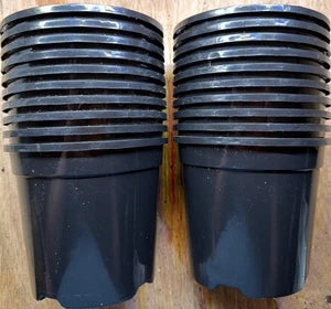 1L Plant Pots - Packs of Black Round Pots with Label Slot x20’